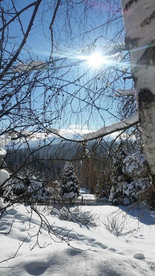 Apartamento Jasmin Bukowina Tatrzańska Exterior foto
